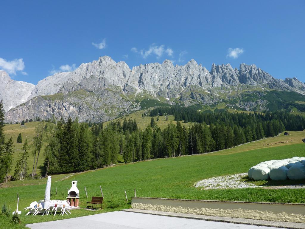 Appartement Appartementhaus Hochkoenig 1 - Alpenrose *