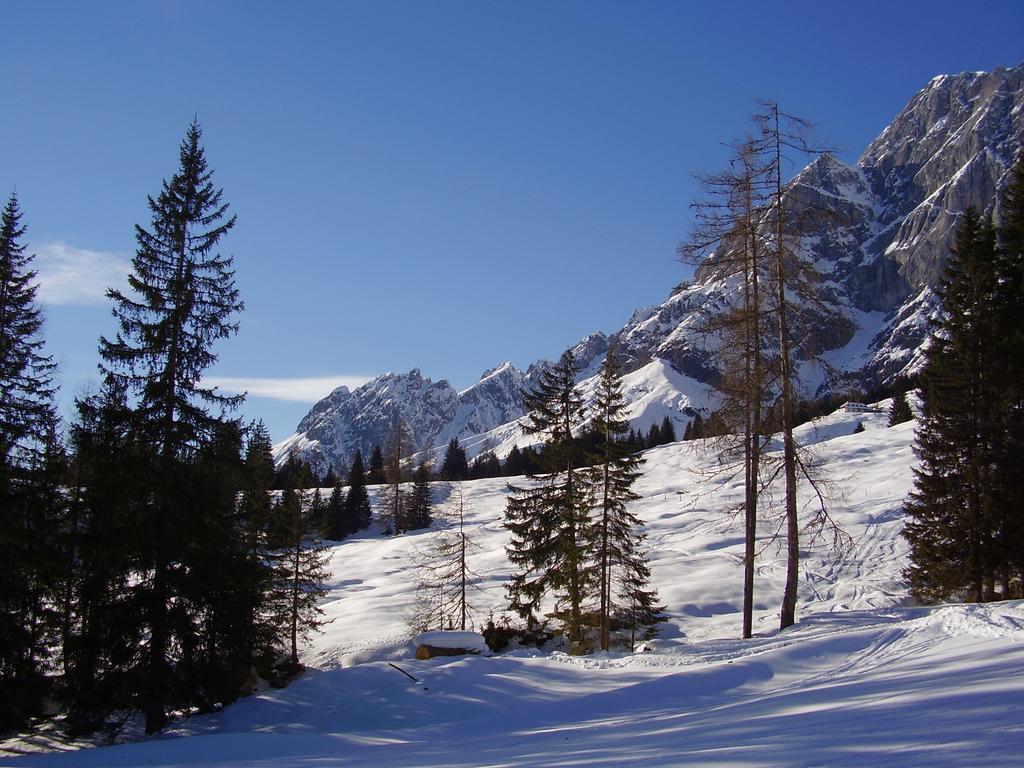 Appartementhaus Hochkoenig 1 - Alpenrose *