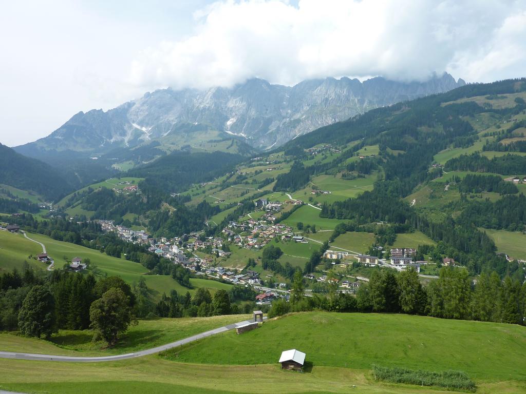 Appartement Appartementhaus Hochkoenig 1 - Alpenrose *