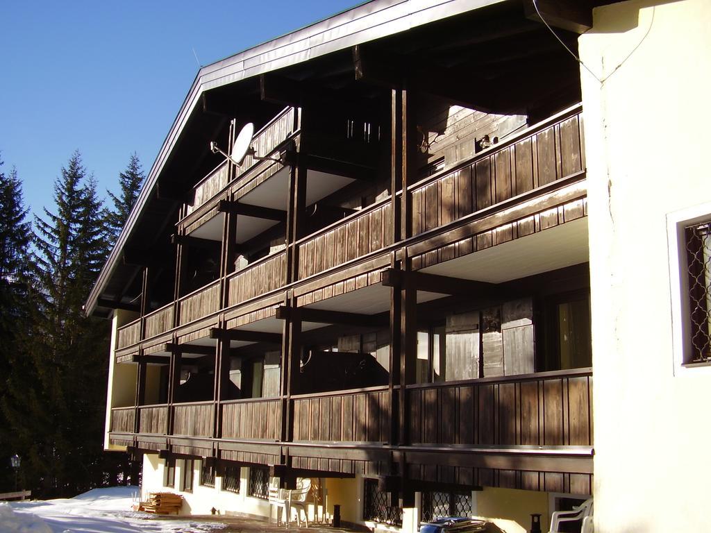 Appartementhaus Hochkoenig 1 - Alpenrose Mühlbach am Hochkönig